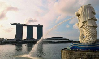 新加坡人口2019年总人数 新加坡人口2019年总人数口及面积