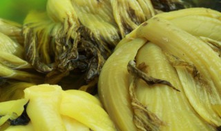酸菜怎样做才是正宗（酸菜怎样做才是正宗酸菜）