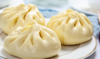 如何做松软肉包(如何做松软肉包饺子)