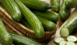 肉末拌黄瓜如何做（肉末拌黄瓜如何做菜）