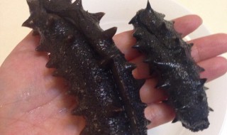 肉海参泡发方法（肉海参泡发方法和步骤）