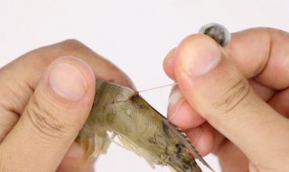 吸管挑虾线的最佳方法（吸管挑虾线的最佳方法是什么）