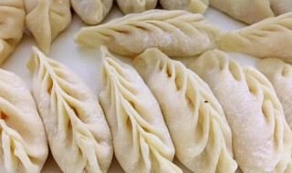 竹笋饺子的做法步骤 竹笋饺子的做法步骤图