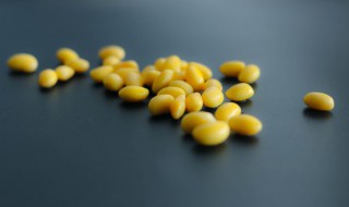 鲜黄豆冷冻技巧（鲜黄豆可以冷冻吗）