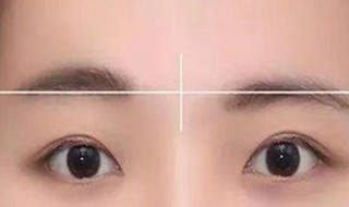 新手补眉步骤（新手补眉步骤视频）