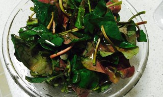 凉拌鱼腥草叶的做法步骤 凉拌鱼腥草叶的做法步骤视频