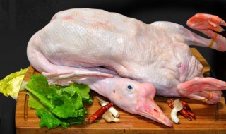 老鹅肉制丸子的制作方法 老鹅肉制丸子的制作方法和步骤