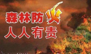 防林火的方法和技巧（林火预防措施）