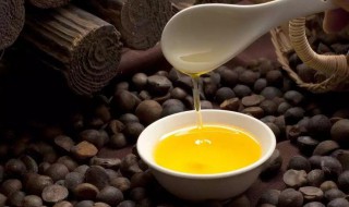 快速制作茶油的方法 怎样制作茶油