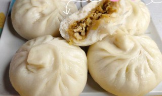 如何做包菜肉包子好吃又松软（如何做包菜肉包子好吃又松软窍门）
