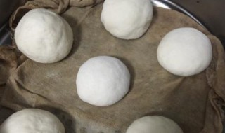 荞麦面馒头发面的正确方法(荞麦面馒头怎么和面)