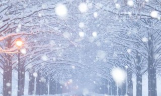 形容下雪的句子唯美诗句 描写下雪的唯美诗句