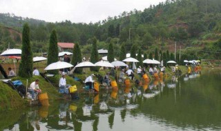 立夏钓鲫鱼调漂技巧（立夏钓鲫鱼调漂技巧图解）