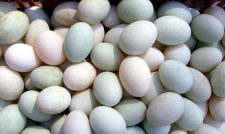 夏天咸鸭蛋怎么保存（夏天咸鸭蛋怎么保存不会坏）
