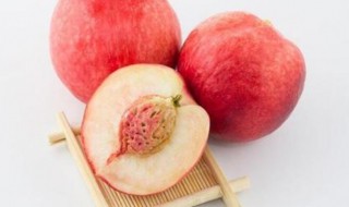 桃子核是干垃圾还是湿垃圾 桃核属于干垃圾还是湿垃圾