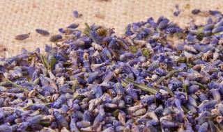 薰衣草花茶如何选购（薰衣草搭配花茶大全）