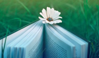 形容忠诚爱国的句子(形容忠诚爱国的句子英文)