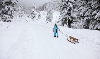 发个雪景的说说（发个雪景的说说搞笑）