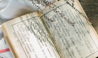 有诗意的重逢句子 有诗意的重逢句子短句