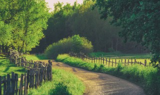 描写夏天清晨的小说句子（描写夏天清晨的小说句子简短）