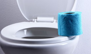 刷厕所的小技巧 刷厕所的小技巧是什么