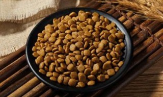 如何为藏獒挑选狗粮 如何为藏獒挑选狗粮吃