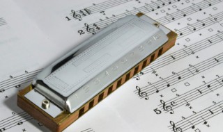 儿童电子音乐琴该怎么挑选（儿童电子音乐琴该怎么挑选才好）