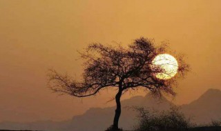 微信朋友圈经典说说 微信朋友圈经典说说搞笑