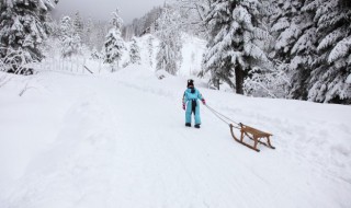 下雪比较有意境的句子 下雪比较有意境的句子简短