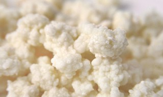 雪莲菇怎么做（雪莲菇怎么做好吃）