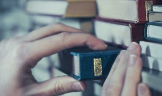 亻字旁的字（亻字旁的字有哪些一年级）