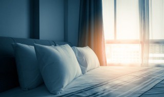 养过猫的卧室怎么处理 养过猫的卧室怎么处理猫毛