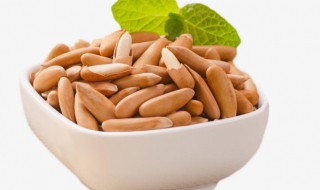 巴西松子的功效与作用 巴西松子和松子功效有区别吗