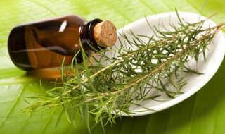 火麻油的功效与作用 蜂蜜火麻油的功效与作用