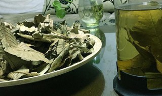 番石榴茶有什么功效（番石榴茶的功效与作用 有哪些禁忌人群）