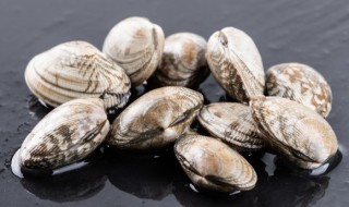 花甲蒸水蛋怎么弄 花甲干蒸水蛋