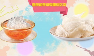 雪燕和燕窝的区别有哪些 雪燕和燕窝有啥区别