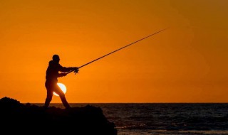 春天钓鳜鱼的技巧（春天钓鳜鱼的技巧与方法）