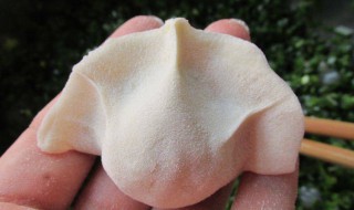 制作饺子的简洁步骤（饺子制作方法简短）