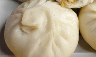 茴香苗素包子如何做 茴香苗素包子怎么做