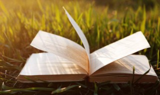 抖音热门的情感心语 抖音热门情感语录