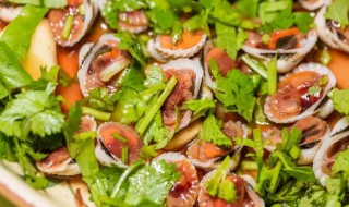 生腌雪蛤的做法 生腌雪蛤的做法窍门