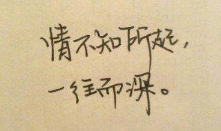 情不知所起一往而深怎么接（情不知所起,一往而深怎么接）