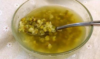 荷叶绿豆汤怎么弄（荷叶绿豆汤怎么弄好喝）