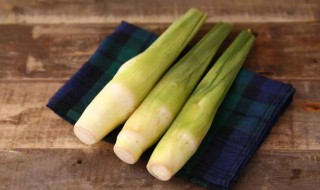 红烧茭白的做法（红烧茭白的做法视频）