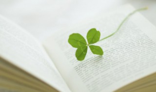 赞美冬天的优美句子（赞美冬天的优美句子(短句）