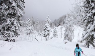 描写冬天的句子短一点 描写冬天的小短句