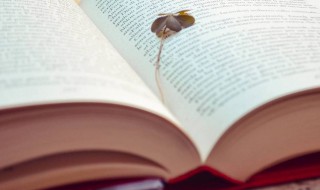 女人累了的句子说说心情短语（表达女人很累的句子说说心情短语）