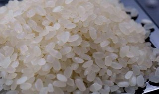 怎么挑米粒（米粒通常怎么去）