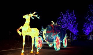 端午节花灯制作方法（中秋节花灯制作方法简单）